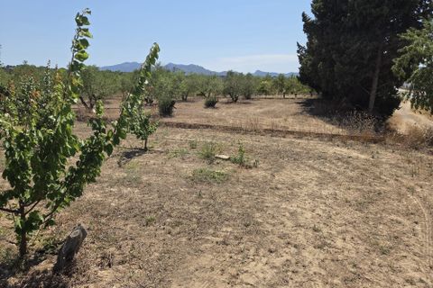 Finca i Ginestar, Tarragona, Ginestar - € 15.000 | Ref: 1018 Ginfrancis - foto 6
